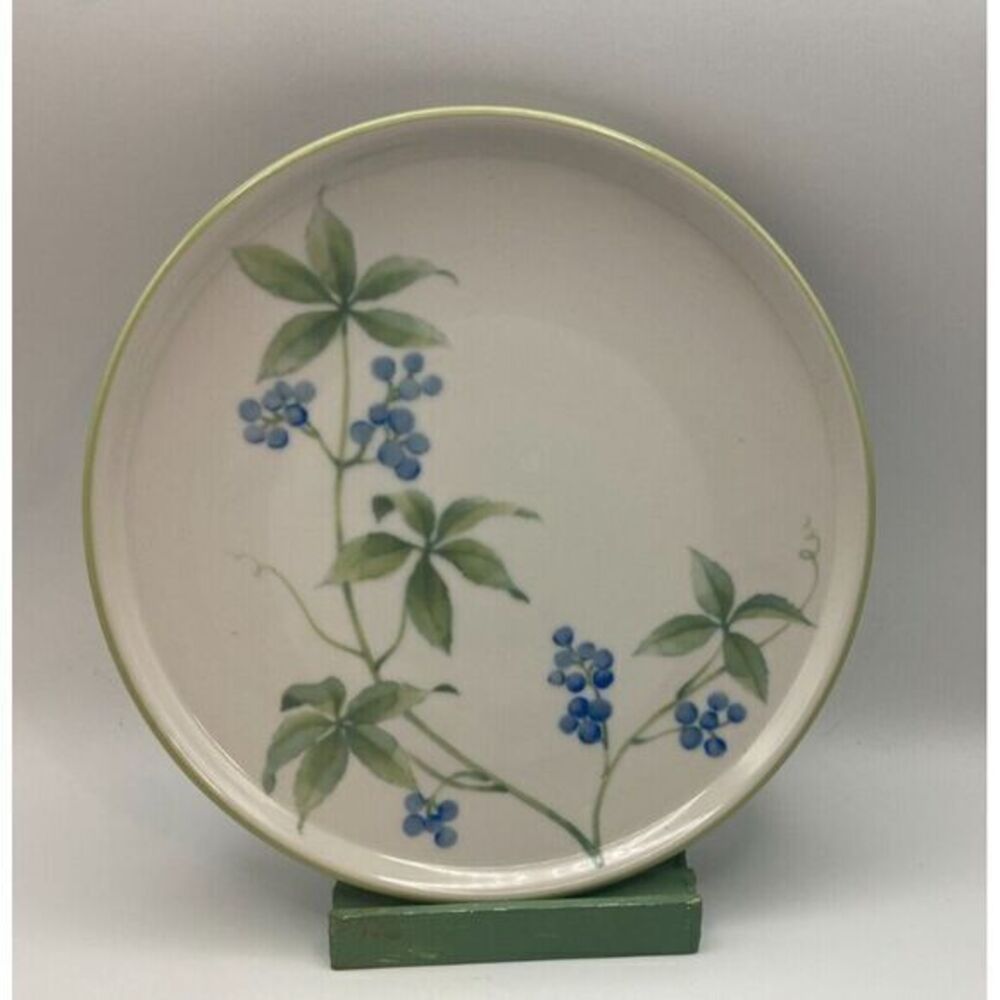 Noritake‎ Stoneware Whisper Salad Plate (s) Blueberries